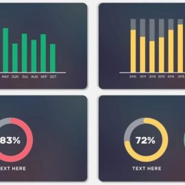 After Effects Infographics Animation | Motion Graphics