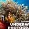 An Introduction to Underwater Photography for Beginners and Professionals