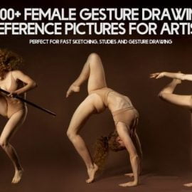 Artstation 400+ Female Gesture Drawing Reference Pictures for Artists Free Download