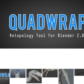 Blendermarket Quadwrap v1.1 and Mesh Materializer v0.0.16 Free Download