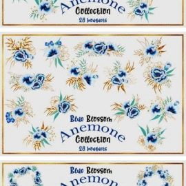 Blue Blossom Anemone Collection 4738966 Free Download