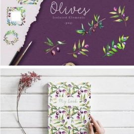 Branches of an Olive Tree Watercolor Set 4750593 Free Download