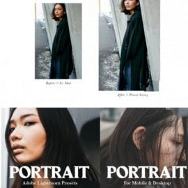 CreativeMarket 10 PORTRAIT MOBILE LIGHTROOM PRESETS 5290394 Free Download