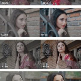 CreativeMarket Cinematic Luts (Slog2 & Slog3) 4963148 Free Download