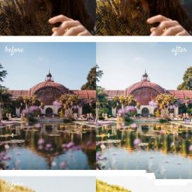 CreativeMarket Punch On Lightroom Preset 4896816 Free Download