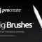 CreativeMarket RM Digital Brushes (for Procreate) 5225147 Free Download