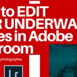 Editing Underwater Images in Adobe Lightroom