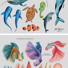 Fantastic Sea Creatures 4747729 Free Download