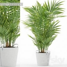 PLANTS 149 3D Model Free Download