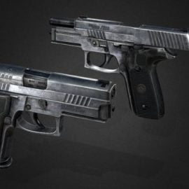 Sig Sauer P229 LEGION Free Download