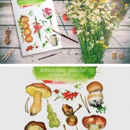 Watercolor Rustic Set with Mushrooms 4954782 Free Download