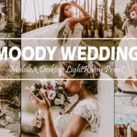 10 Moody Wedding Mobile & Desktop Lightroom Presets, Fall LR