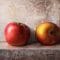 Adrian Sommeling – Apples and textures