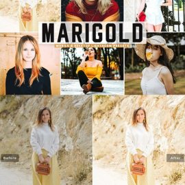 CreativeMarket – Marigold Pro Lightroom Presets 5424130