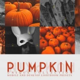 DesignBundles – 5 Halloween presets & Horror Lightroom presets