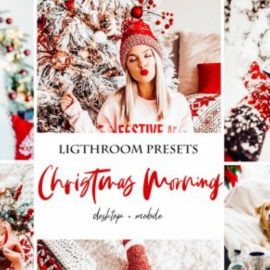 DesignBundles – Christmas Morning Lightroom Presets