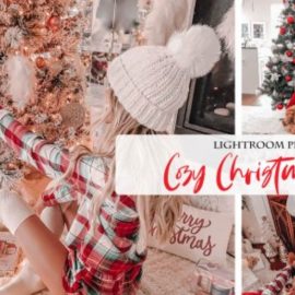 DesignBundles – Cozy Christmas Home Lightroom Presets