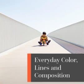 Everyday Color, Lines and Composition with Vironica Golden