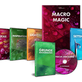 Expert Photography Macro Magic Free Download