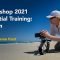 Lynda Photoshop 2021 Essential Training Design Free Download