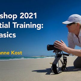 Lynda Photoshop 2021 Essential Training The Basics Free Download