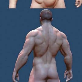 Male Naked Body Free Download