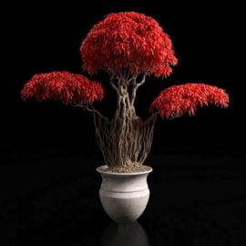 Red bonsai plants 3D model Free Download