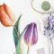 Watercolor Botanical Series: Paint Tulips Step by Step