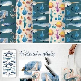 Watercolor Whales & Patterns 5872171 Free Download