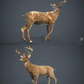 White-tailed Deer Free Download