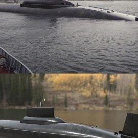 Akula Class Submarine Free Download