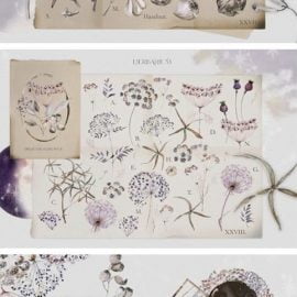 Boho Floral Watercolor Set Alchemy 6217269 Free Download