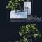 Bonsai Tree Free Download