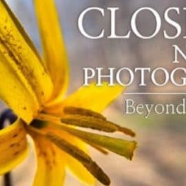 Close-Up Nature Photography: Beyond the Basics