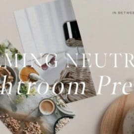 CreativeMarket – Calming Neutrals Lightroom Presets 4935953