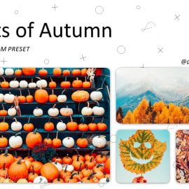 CreativeMarket – Gifts of Autumn – Lightroom Presets 5227452