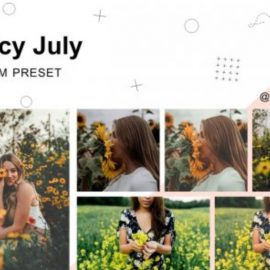 CreativeMarket – Juicy July – Lightroom Presets 5236497