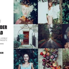 CreativeMarket – Oleander Road Lightroom Presets 5270591