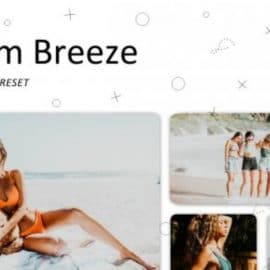 CreativeMarket – Warm Breeze – Lightroom Presets 5223660