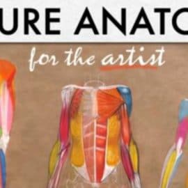 Figure Anatomy for the Artist