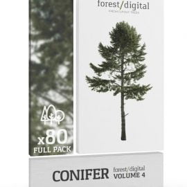 Forest Digital vol. 4 Conifer Cutout Trees Free Download