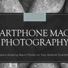 How to Take Amazing Macro Photos with Your Smartphone!