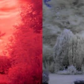 Infrared RAW Photography Post Processing in Photoshop CC 2021