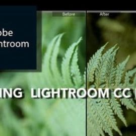 Learning Lightroom CC Classic in 2020