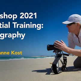 Lynda Photoshop 2021 Essential Training Photography Free Download