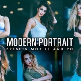 Modern Portrait V2 Presets Mobile and PC