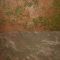 Mud Grass Free Download