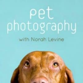 Pet Photography with Norah Levine