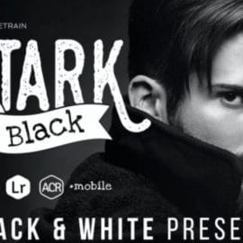 Stark Black – Dramatic Black & White Presets