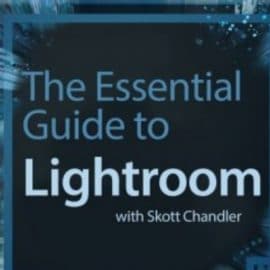 The Essential Guide to Lightroom